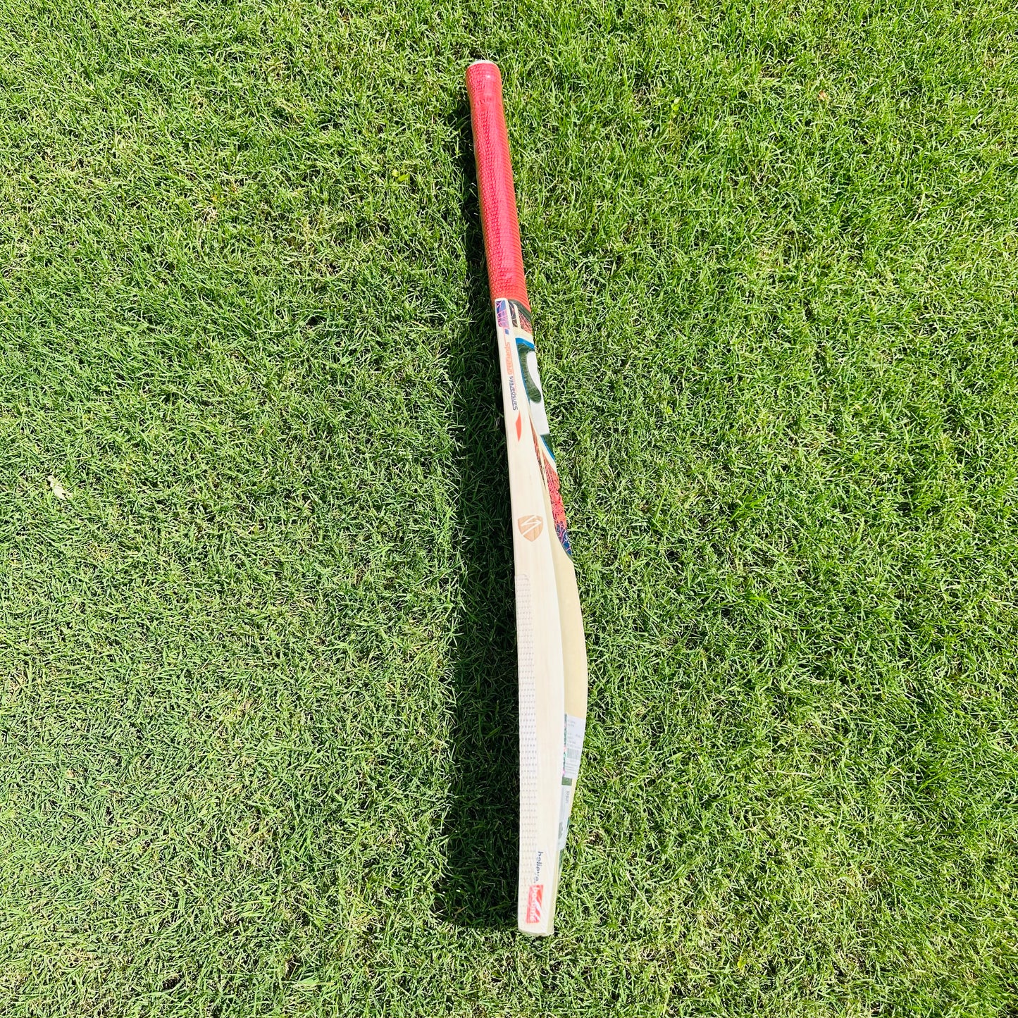 SG RP Pro Kashmir Willow Cricket Bat
