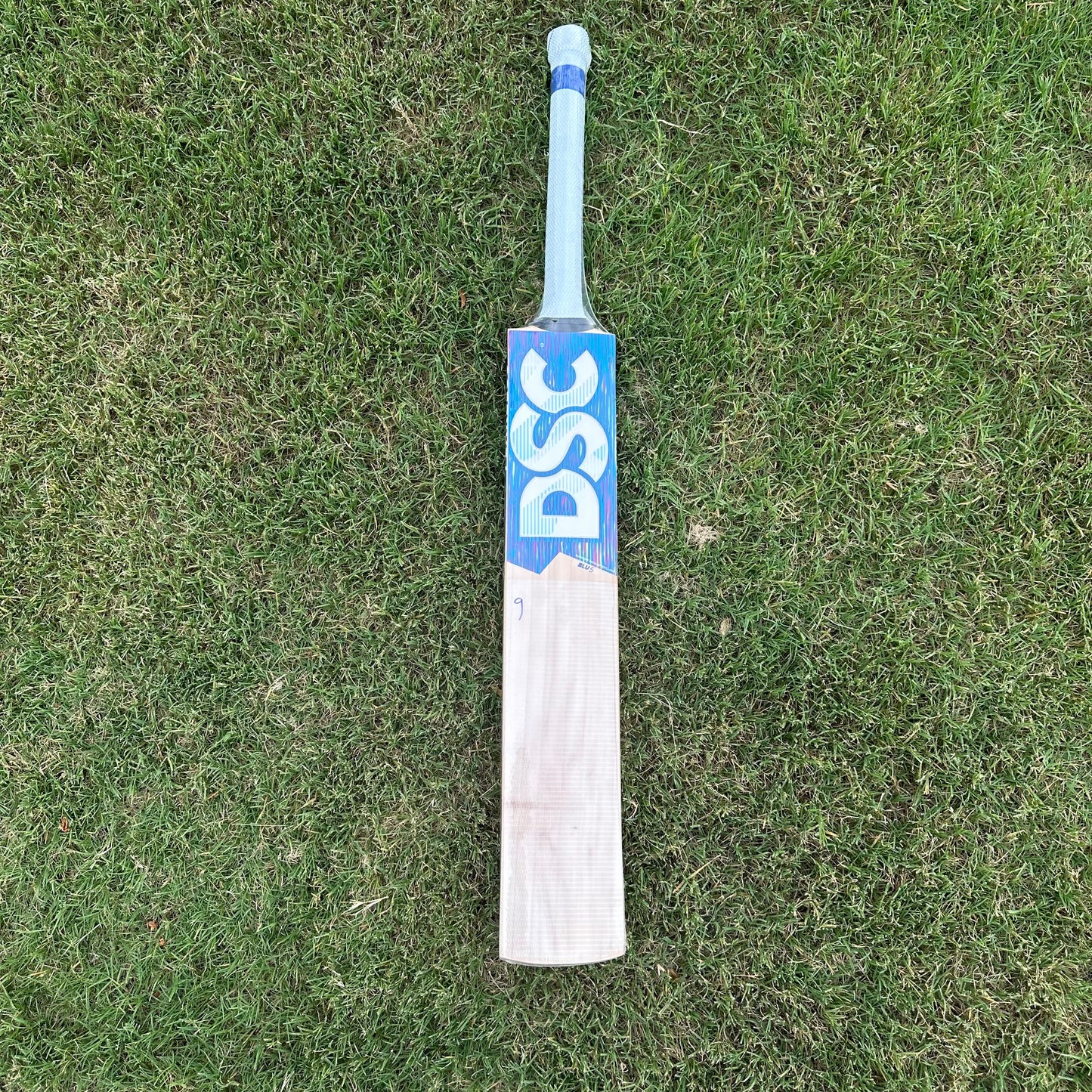 DSC Blu 5 Cricket English Willow Cricket Bat - 1100g