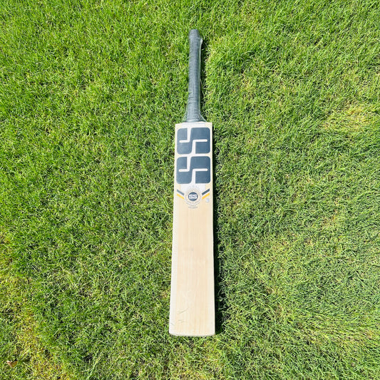 SS Ton Tim David Kashmir Willow Cricket Bat