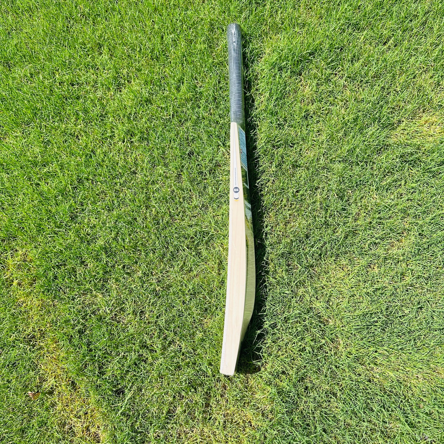 SS Ton Tim David Kashmir Willow Cricket Bat