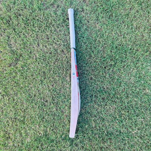 SS Pollard Players Kashmir Willow Cricket Bat