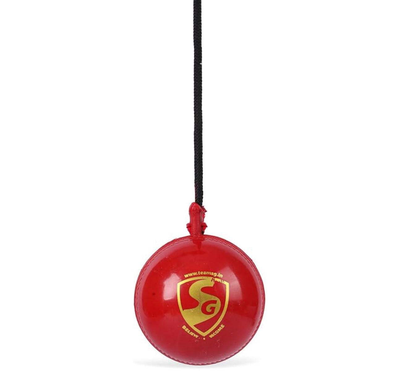 SG Hanging Ball