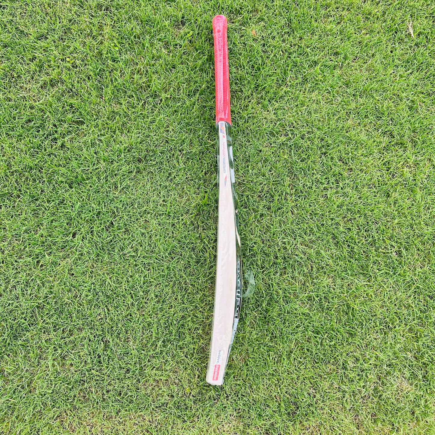 SG Sierra Plus Kashmir Willow Cricket Bat Size SH
