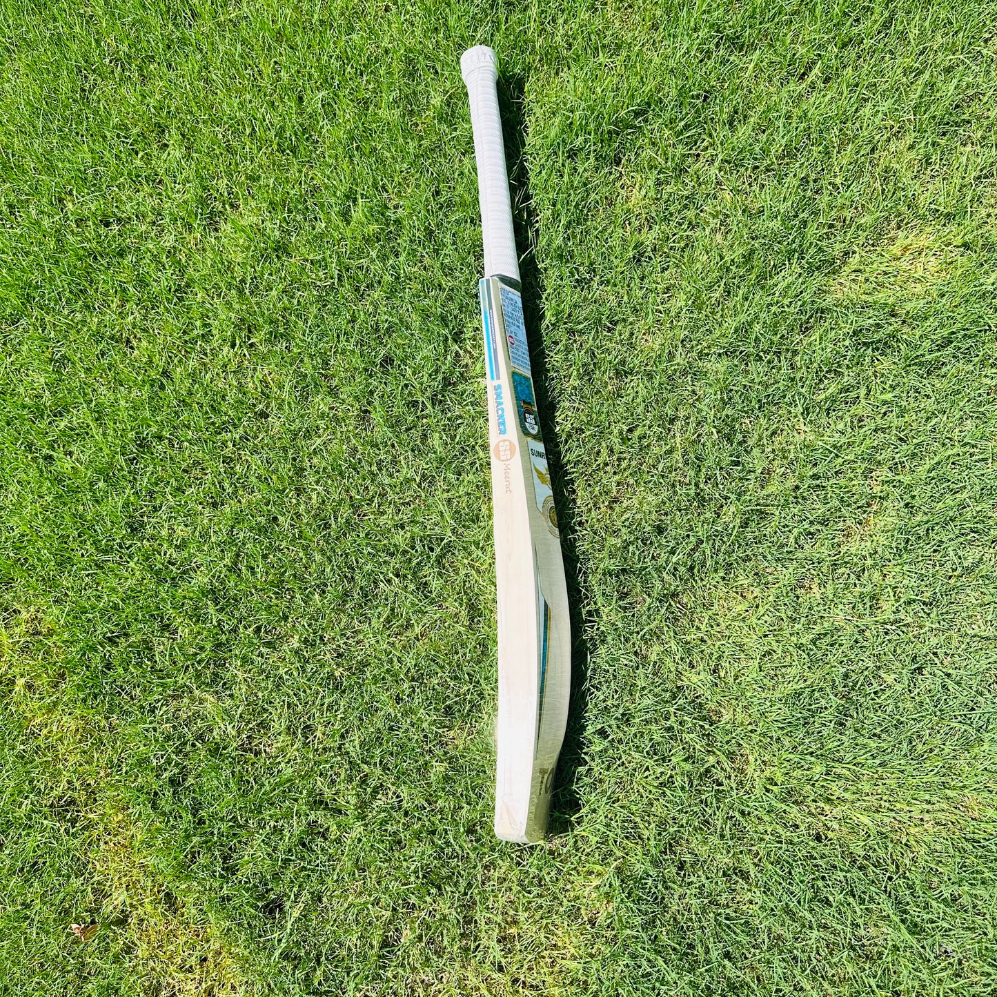 SS Ton Smacker Blaster English Willow Cricket Bat