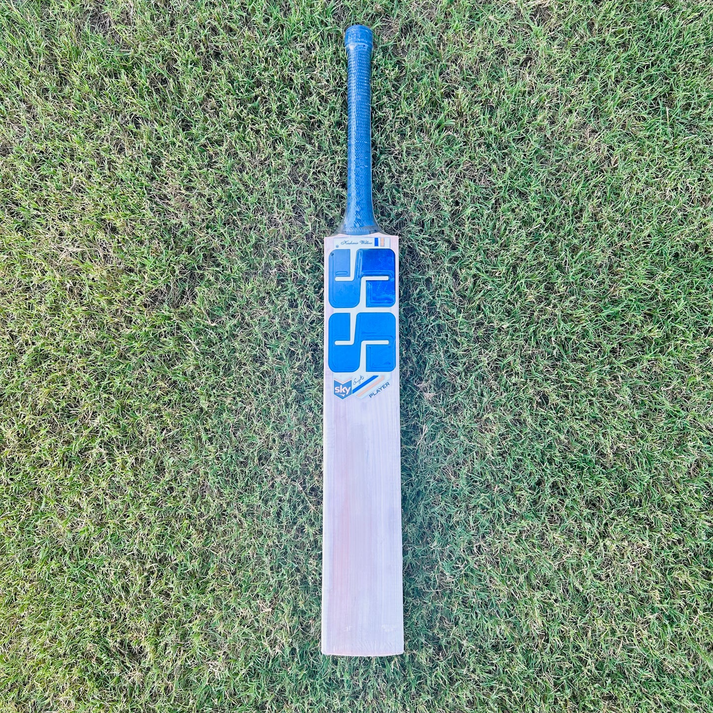 SS SKY Player Kashmir Willow Cricket Bat