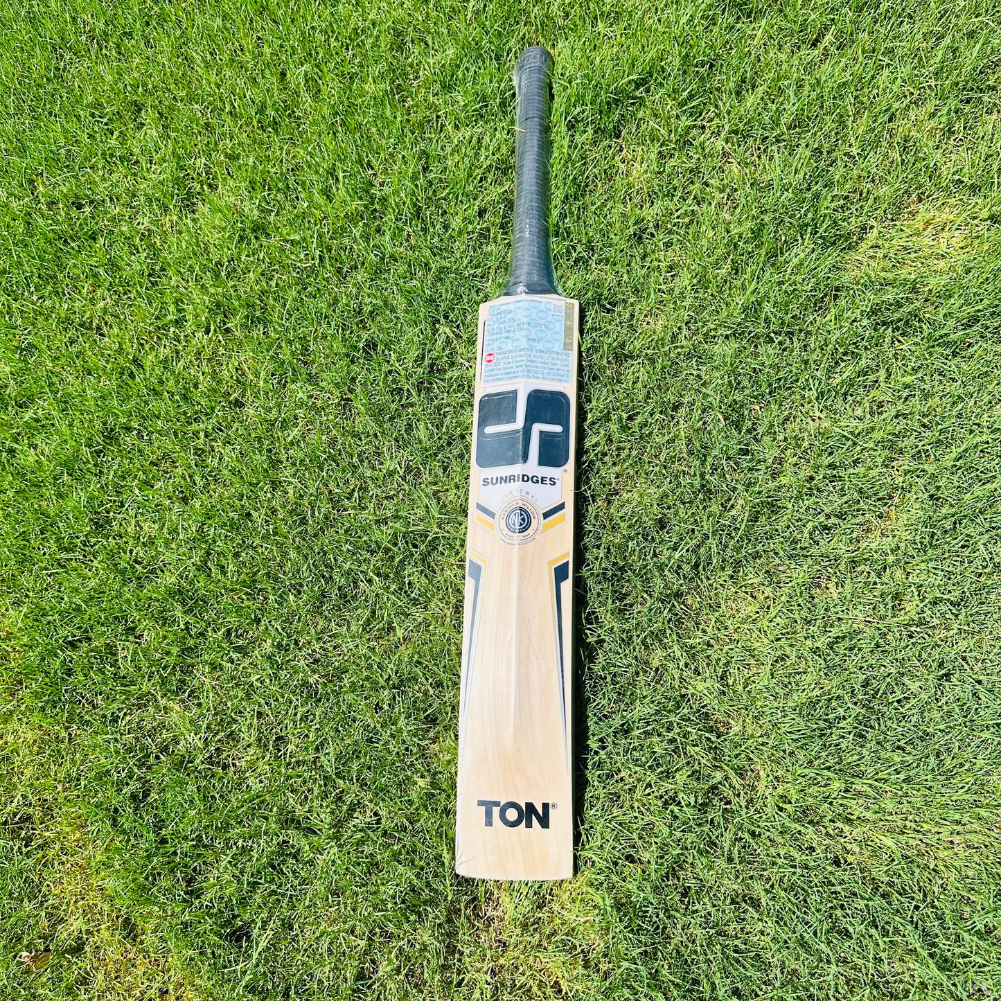 SS Ton Tim David Kashmir Willow Cricket Bat