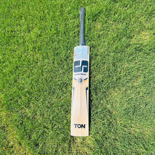 SS Ton Tim David Kashmir Willow Cricket Bat