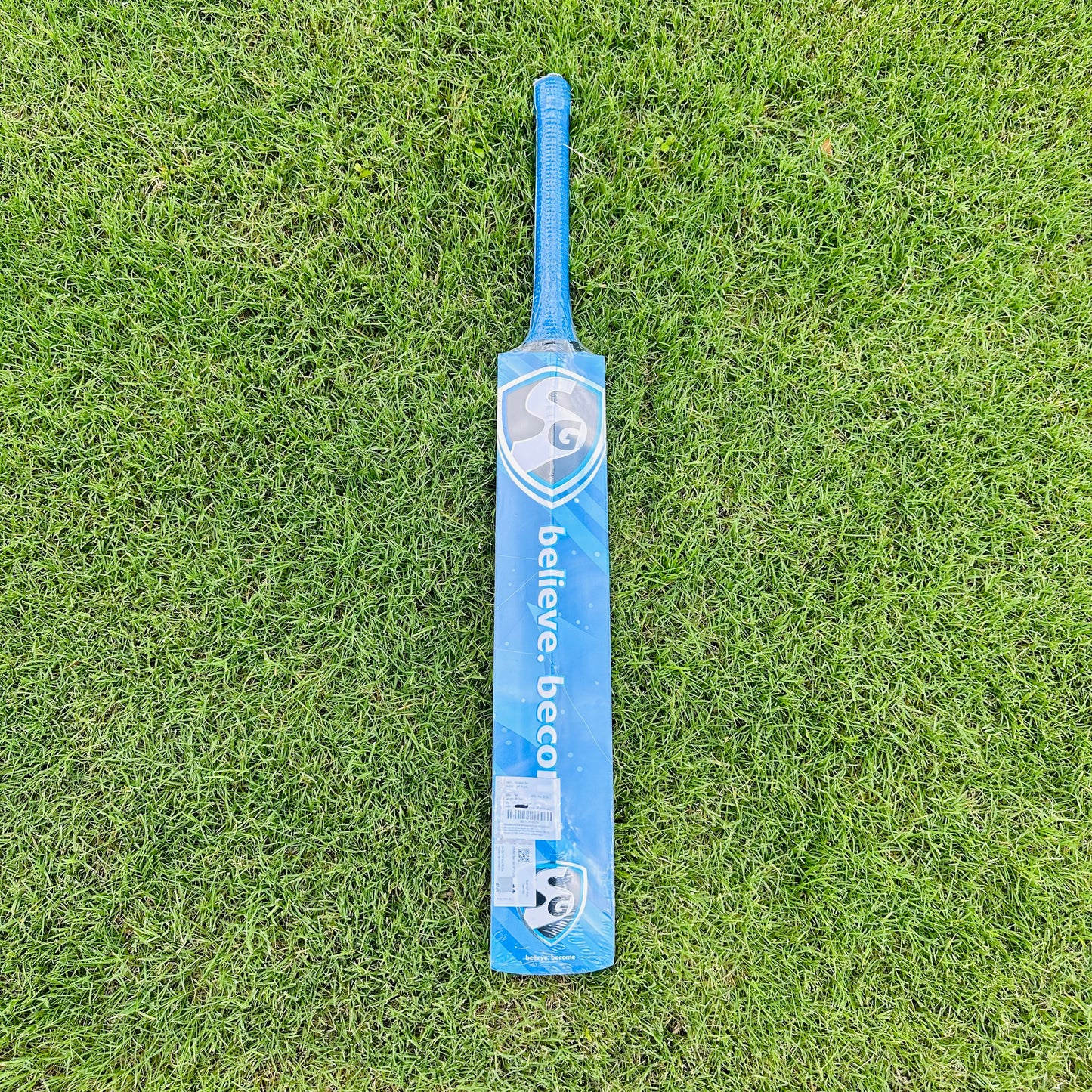 SG HP Plus Kashmir Willow Cricket Bat