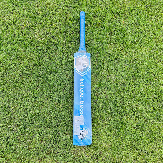 SG HP Plus Kashmir Willow Cricket Bat