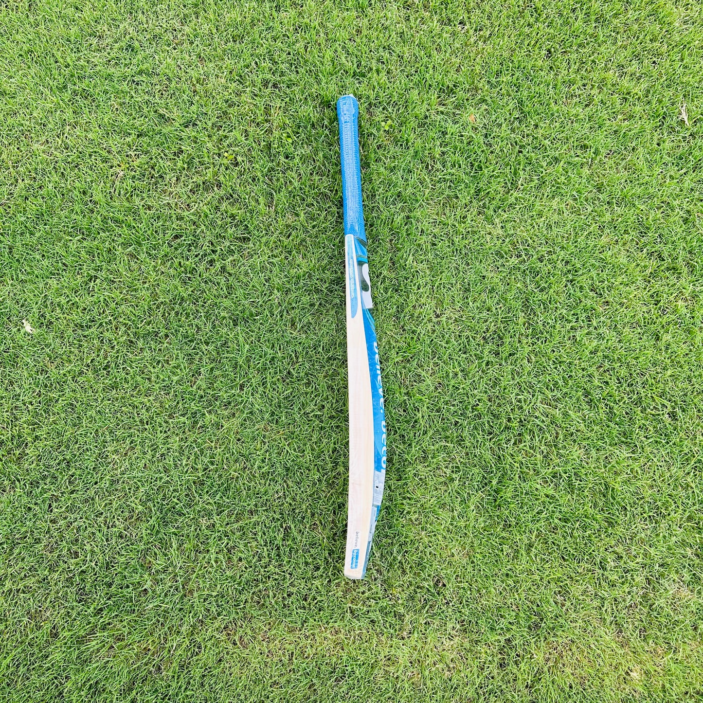 SG HP Plus Kashmir Willow Cricket Bat