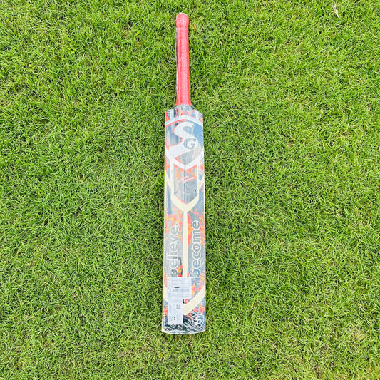 SG Sierra Plus Kashmir Willow Cricket Bat Size SH