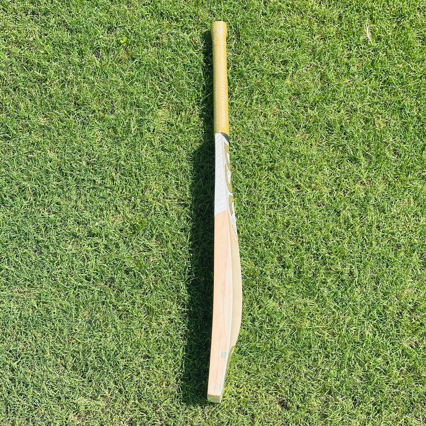 DSC Eureka Jolt English Willow Cricket Bat
