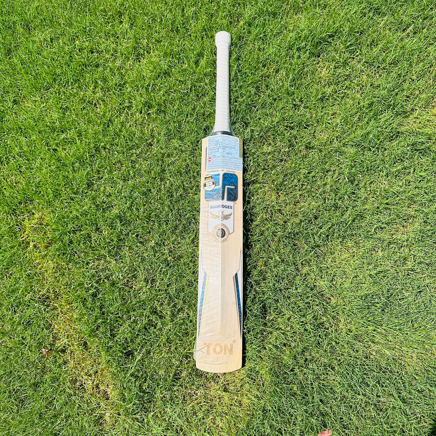 SS Ton Smacker Punch English Willow Cricket Bat