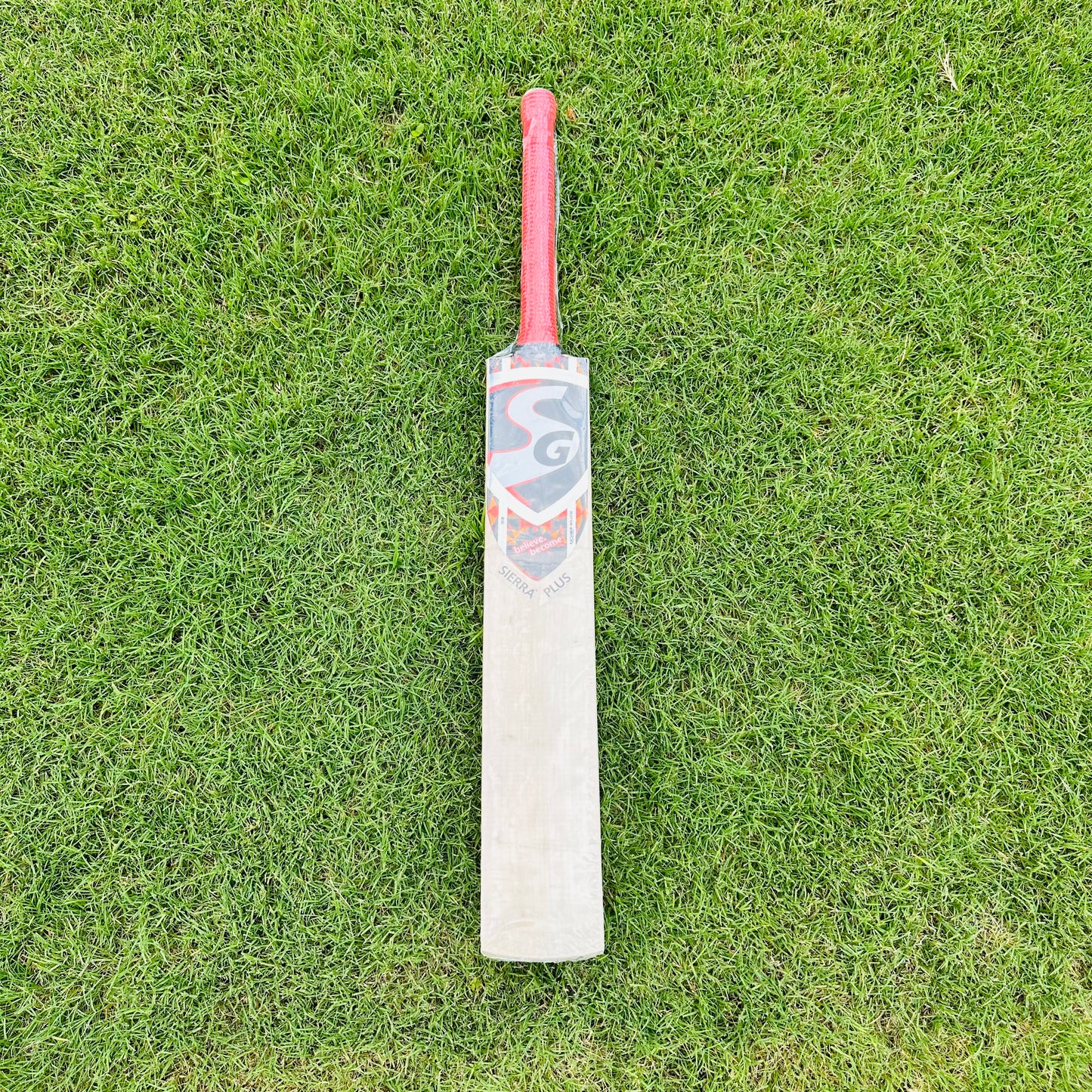 SG Sierra Plus Kashmir Willow Cricket Bat Size SH